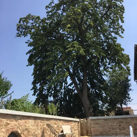 La Bonneterie 3* Andlau-au-Val